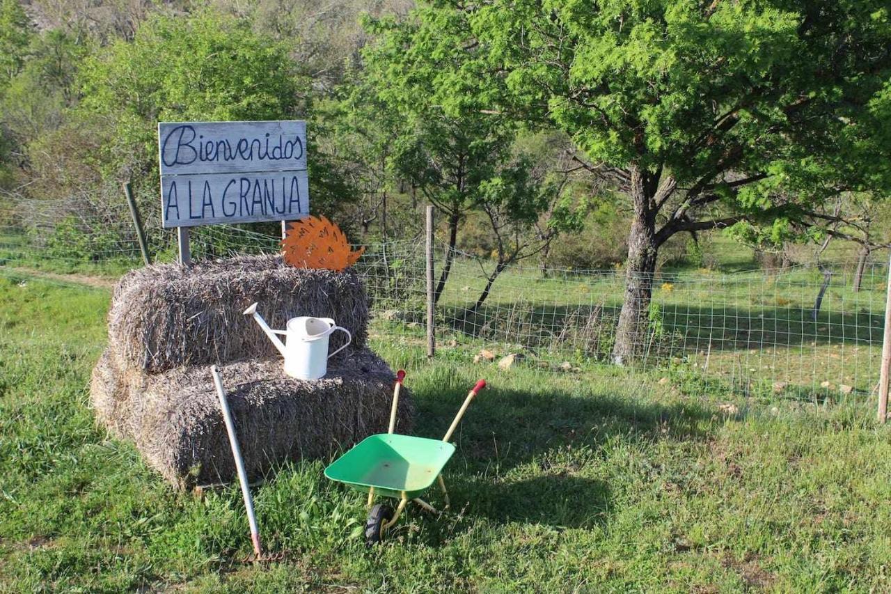 Cerveruela Casa El Tio Carrascon Alojamiento Rural מראה חיצוני תמונה