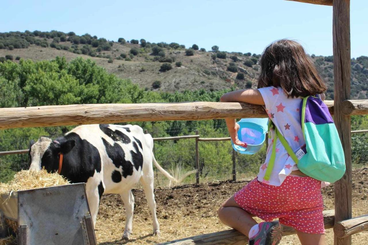Cerveruela Casa El Tio Carrascon Alojamiento Rural מראה חיצוני תמונה